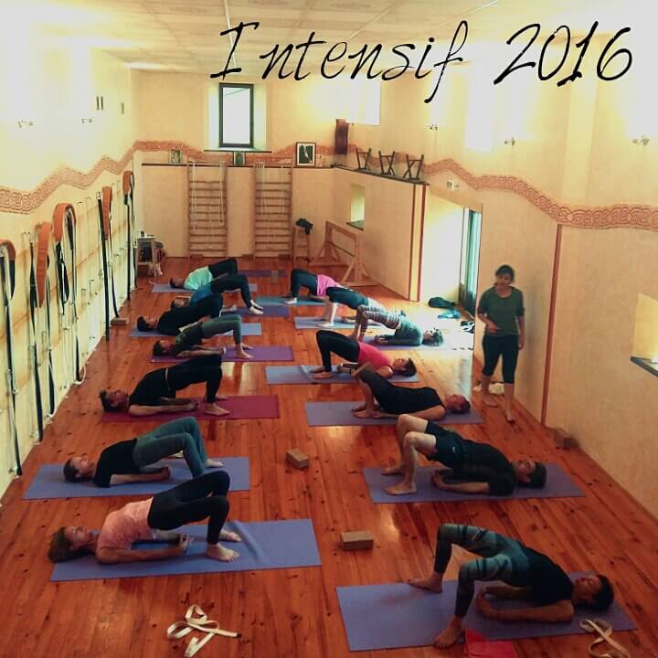 intensif yoga Iyengar 2016